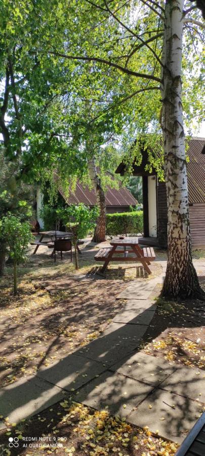Rybarska Basta Vikletice - Nechranice Villa Chbany Ngoại thất bức ảnh